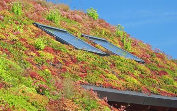 Bromborough living roof systems